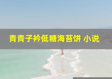 青青子衿低糖海苔饼 小说